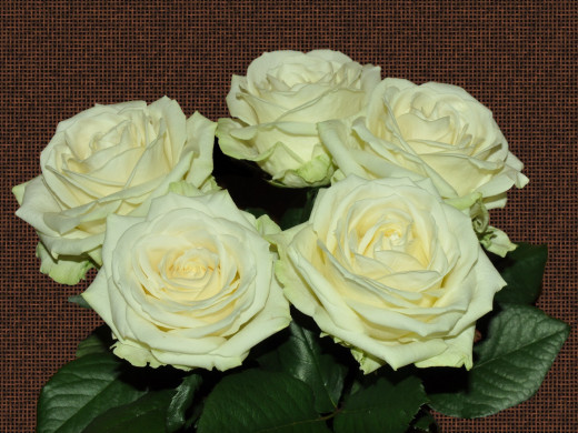 429369 (a): :1600x1200